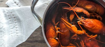 How to keep crayfish alive or boiled properly