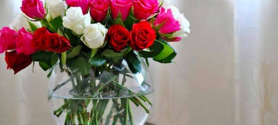 How to save cut roses