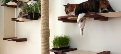 Types and production of wall shelves for cats