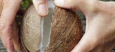 How to cut and consume coconut at home