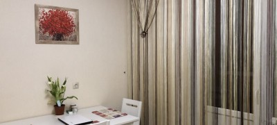 Characteristics of filament curtains in the interior of the kitchen