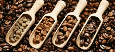 Choosing the best coffee beans