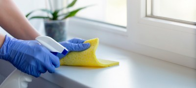 How and with what you can clean the windowsill