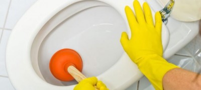 How to clean the toilet at home