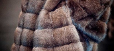 Fur cleaning at home - recipes and tips