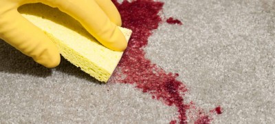 How and how you can wash the blood from the sofa, depending on the material of the upholstery