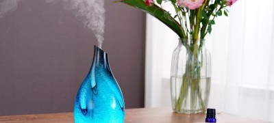 What is a humidifier in the house for?