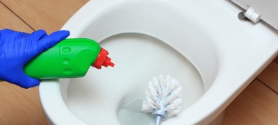 How to remove rust from the toilet at home