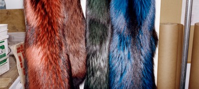 Fur dyeing at home