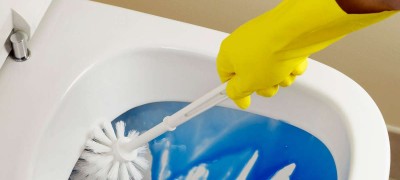 How to clean the toilet and what tools are needed for this