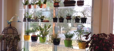 Flower stand on the windowsill