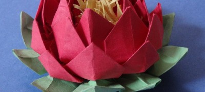 How beautiful to make a lotus flower from napkins