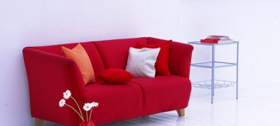 Examples of interior decoration with a red sofa