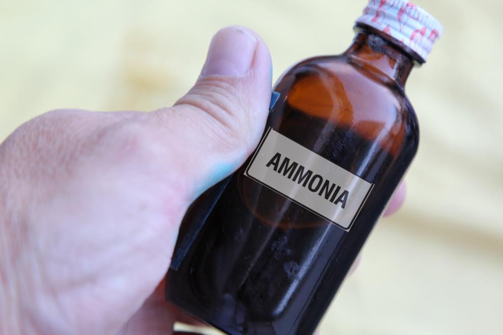 ammonia