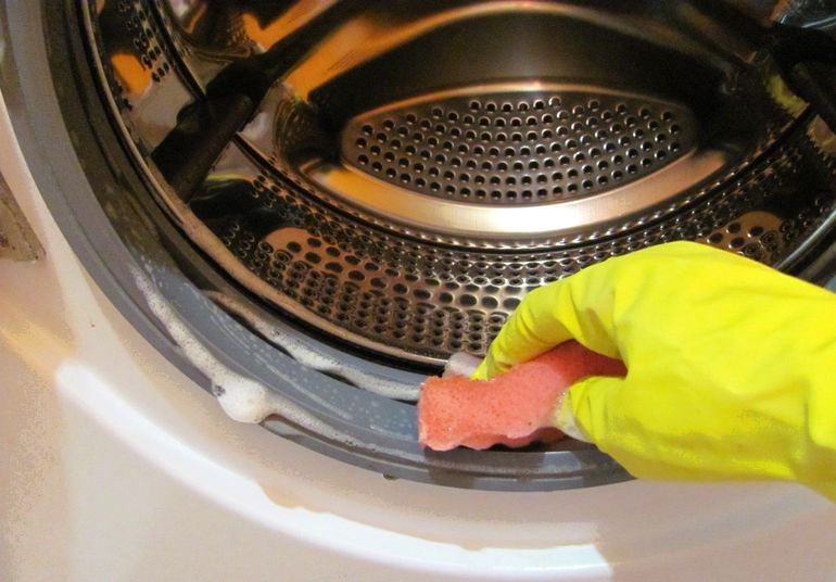 cleaning the cuff of the washing machine photo