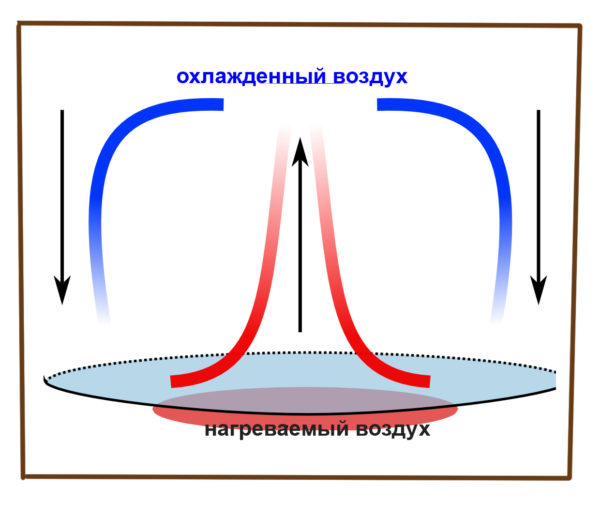 Convection is literally translated from Latin as transfer.