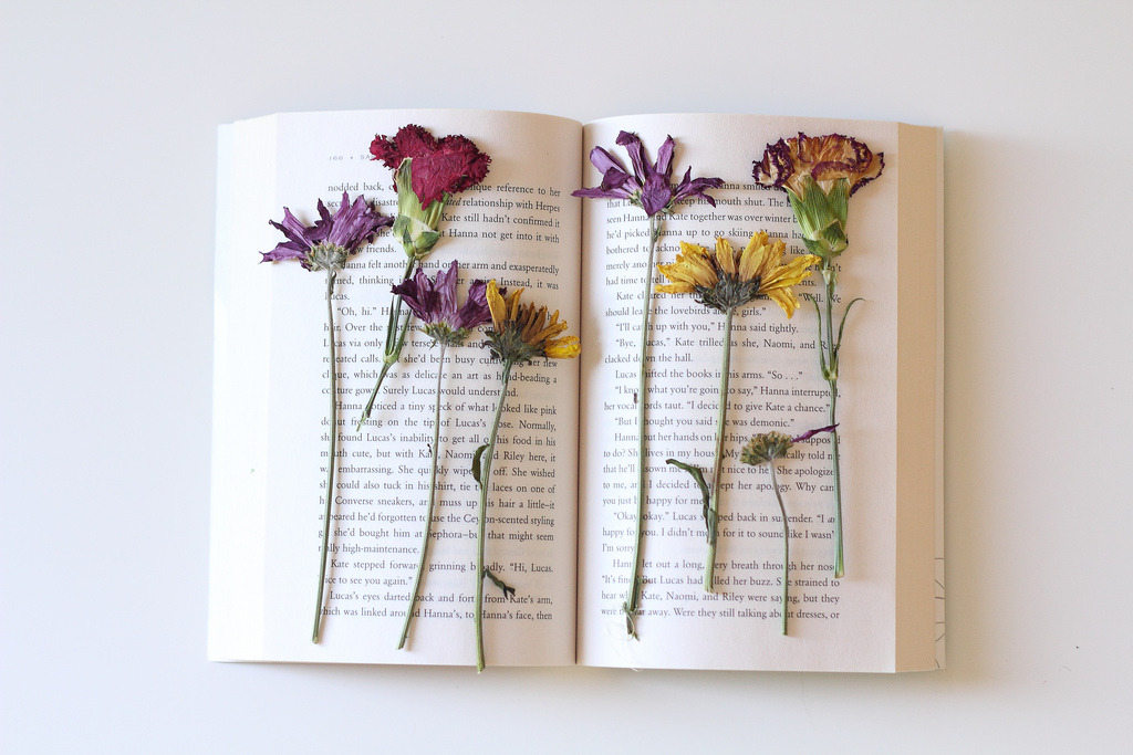 fleurs dans un livre