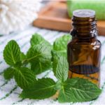 peppermint essential oil