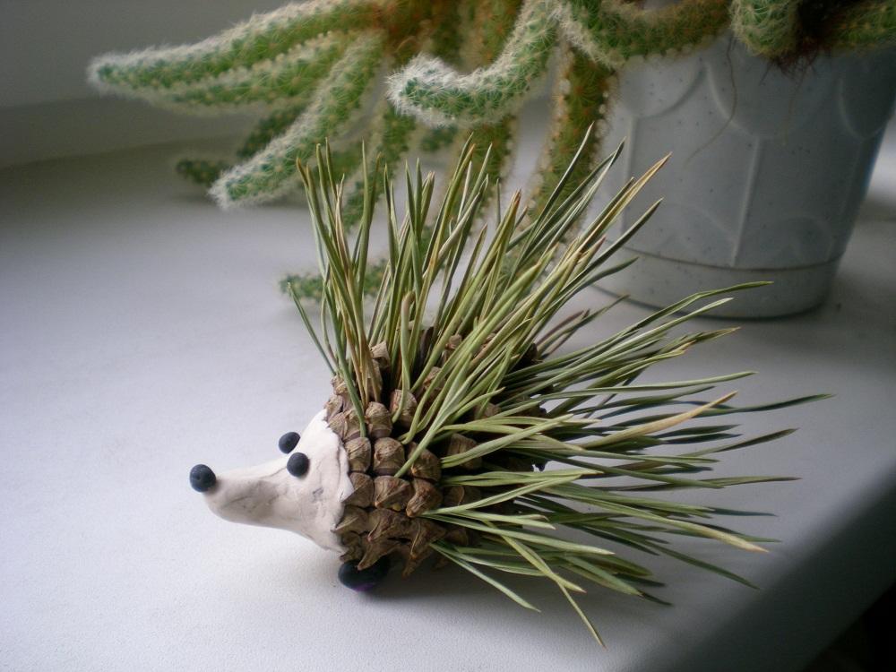 pine cone hedgehog