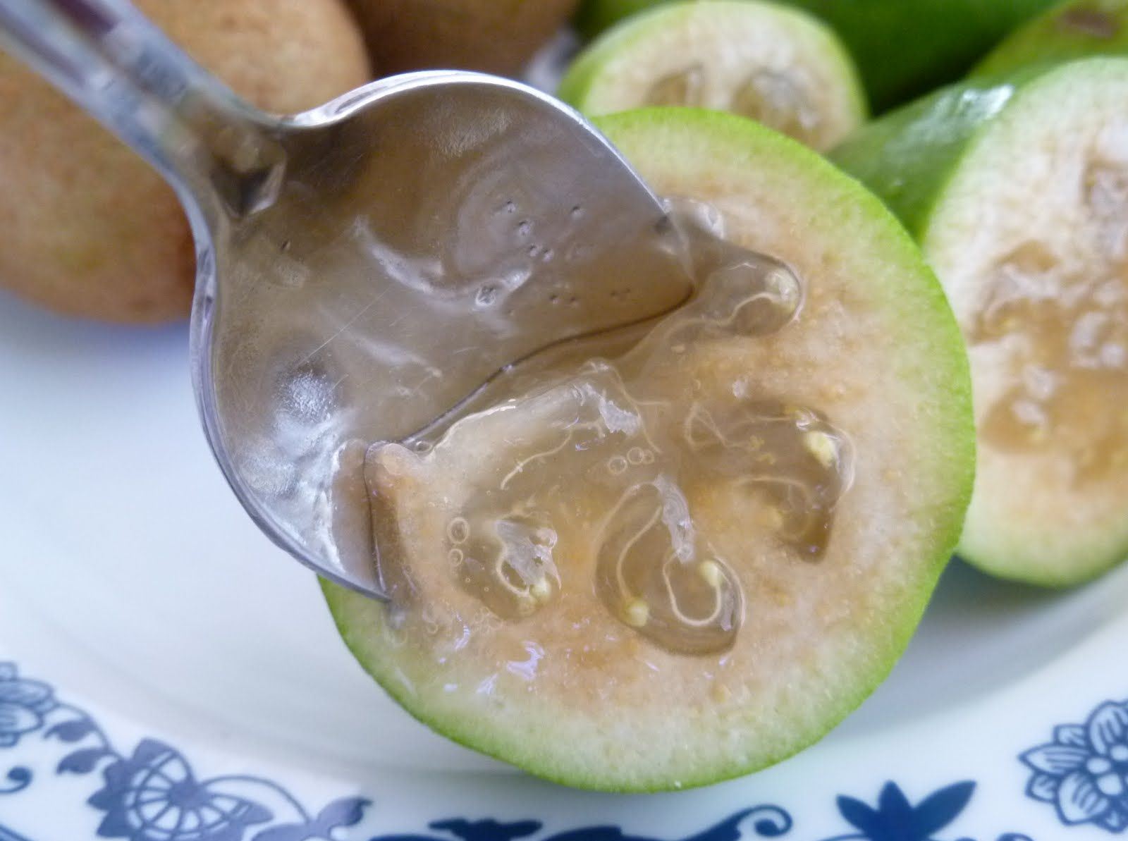 feijoa photo