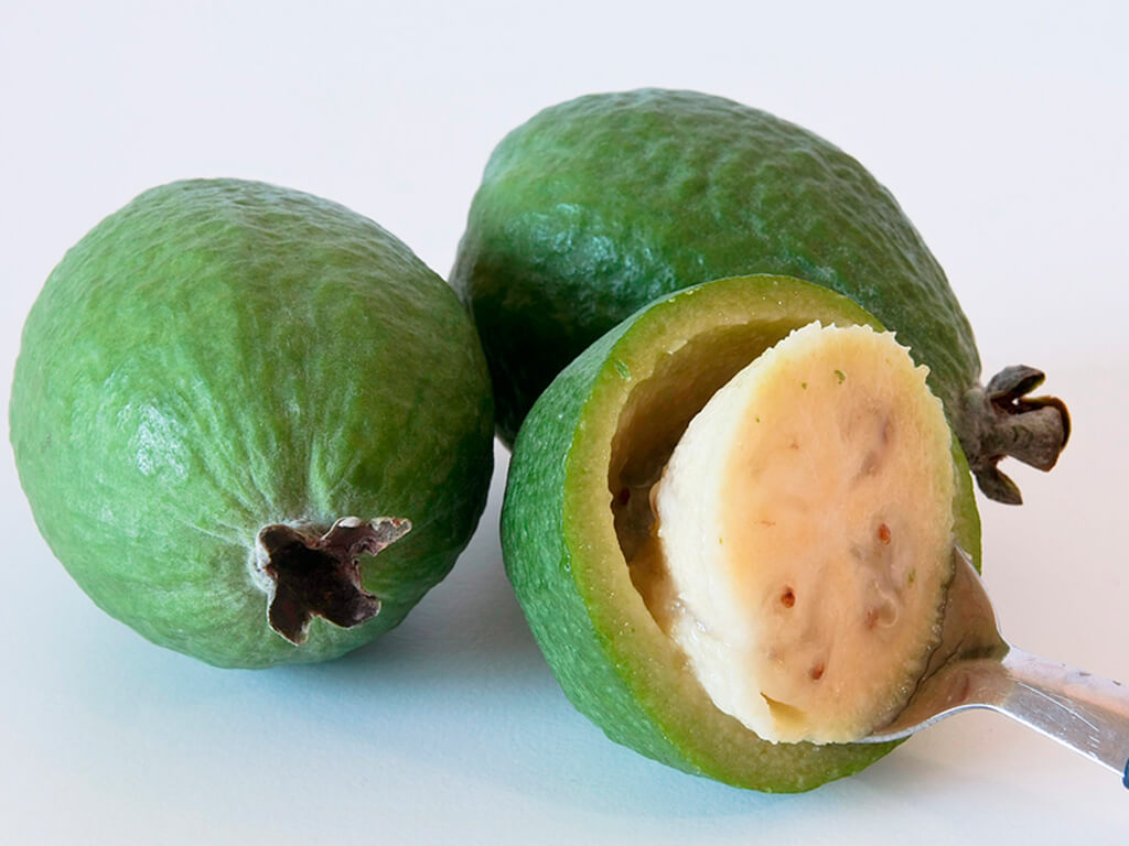 useful properties of feijoa