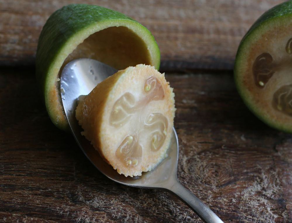 fruit de feijoa