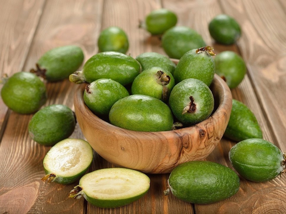 what does feijoa look like