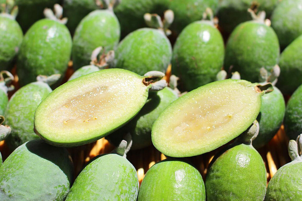 feijoa is it possible for children