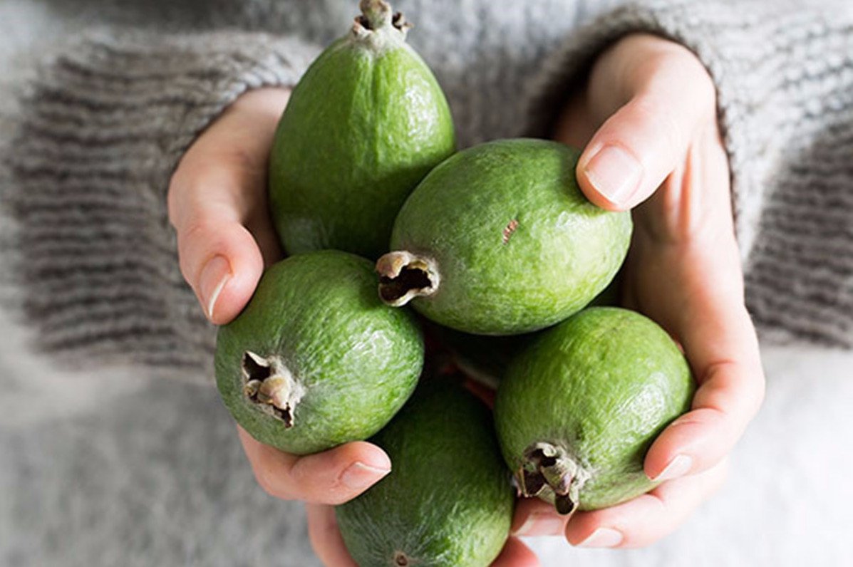 feijoa in hand