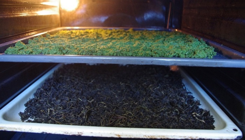 fermentation ivan tea in the oven