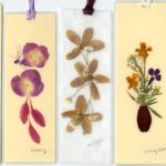 herbarium do it yourself decor options