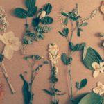 herbarium do it yourself decor photo