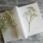 herbarium do it yourself decor ideas