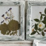 herbarium do it yourself ideas decor