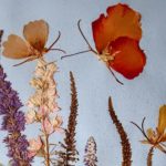 herbarium do it yourself decor ideas