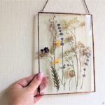 herbarium do it yourself design