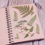 herbarium do it yourself photo decoration