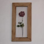 herbarium do it yourself design ideas