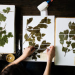 herbarium do it yourself photo options