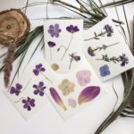 herbarium do it yourself design