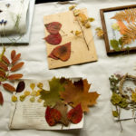 herbarium do it yourself ideas of options