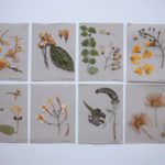 herbier faites-le vous-même types de photos