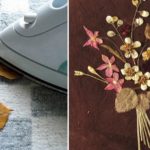 herbarium do it yourself ideas types