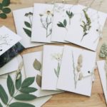 herbarium do it yourself