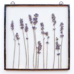 herbarium do it yourself photo design