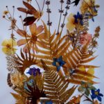 herbarium do it yourself design ideas