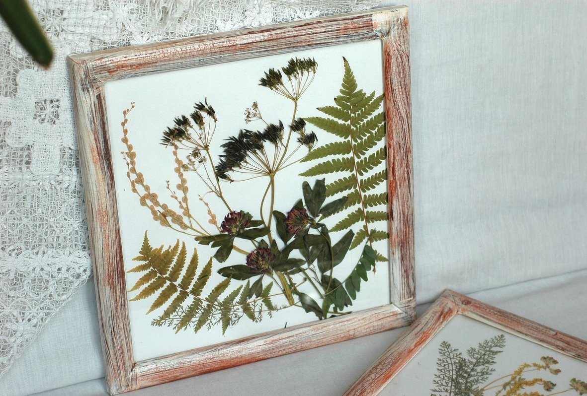 herbarium types of decoration