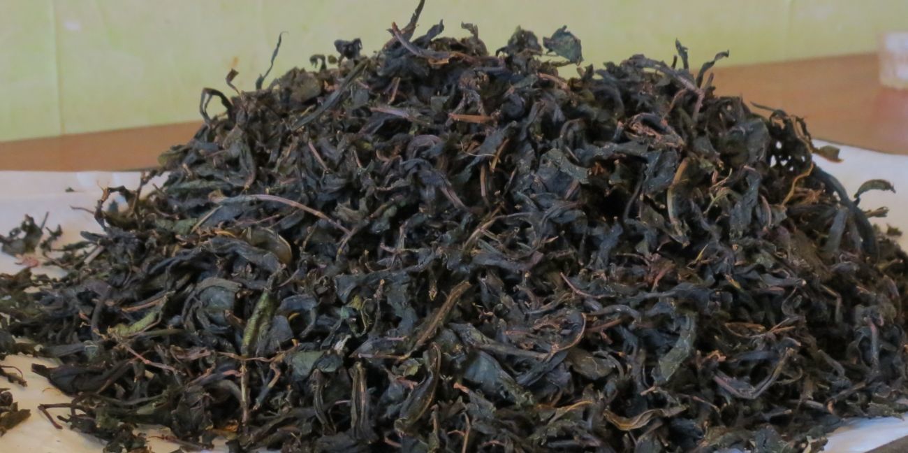 ivan tea fermented