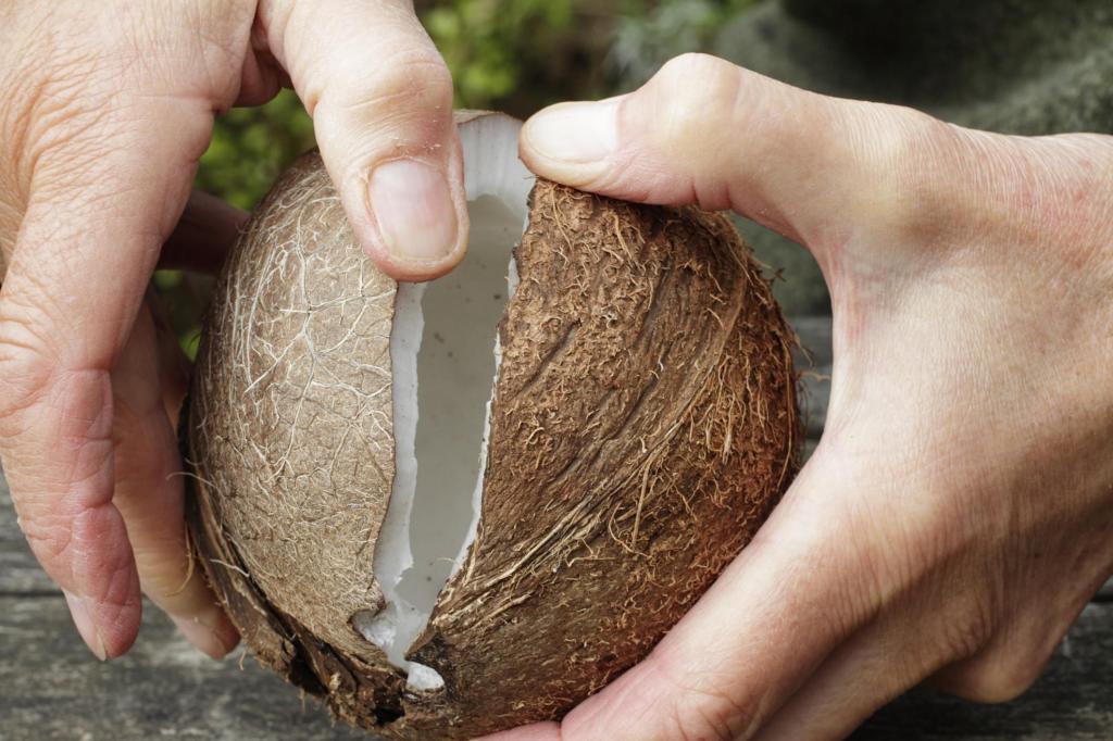 comment ouvrir une noix de coco