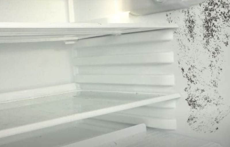 how to remove mold in the refrigerator